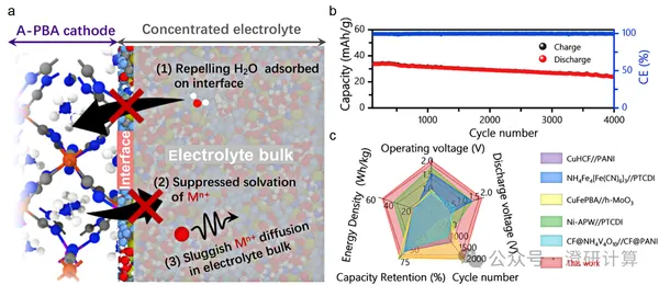 Interface distribution, free water, and diffusion coefficient: how molecular dynamics (MD) explains the dissolution failure of aqueous electrodes in three steps?