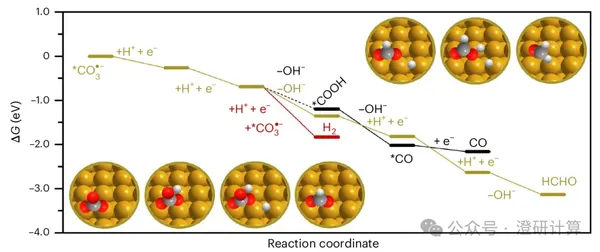 Nature Chemistry:CO₂RR 里被忽略的碳酸根,竟然重构了界面水
