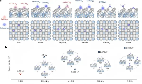 徐梽川Nature Chemistry:自旋调控N–N成键,磁化促进氨氧化反应