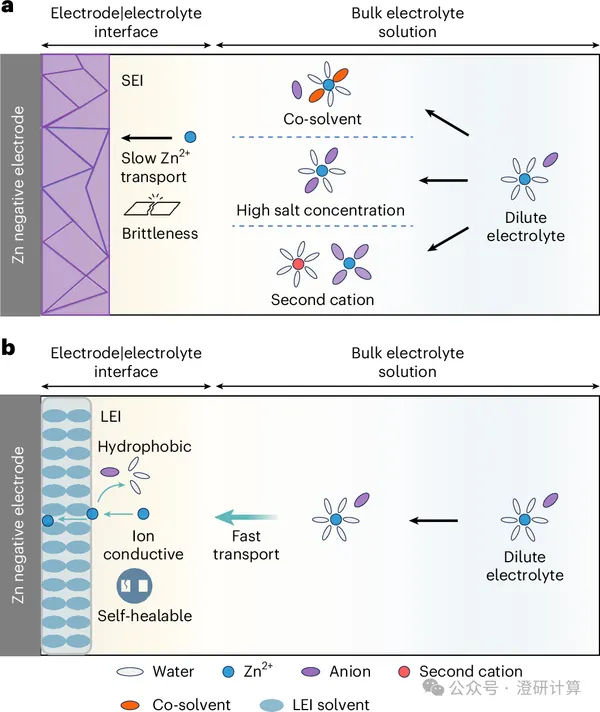 Nature Nanotechnology:郭再萍&王春生提出疏水液态 LEI,稳定高效水系锌电池