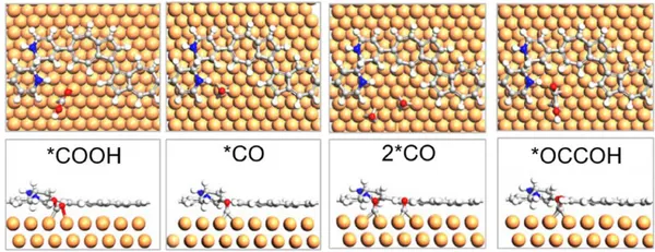 CO₂/CO 活化