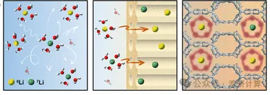 JACS:COF 捕获 ⁶Li,扩散比结合更关键
