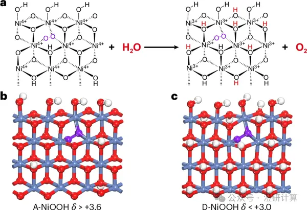 Nature Chemistry:断电后还能产氧?长寿命 NiOOH 活性相揭示 Ni⁴⁺ 储存电荷机制